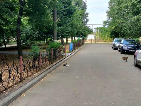 квартира за адресою Європейська, 14