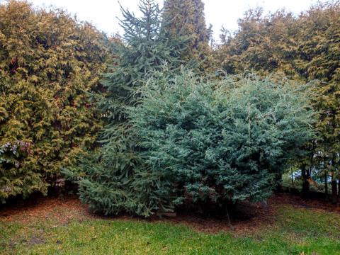 будинок за адресою Озерна вул.