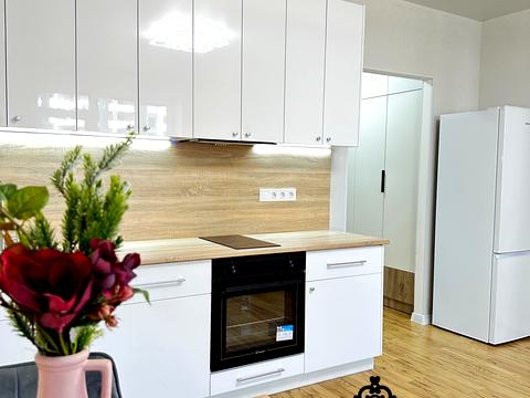 квартира по адресу Чубинского ул., 8