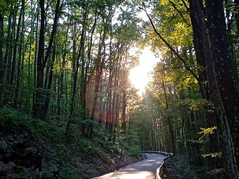 дом по адресу Дачний масив