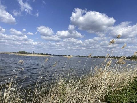участок по адресу Новогородская ул.