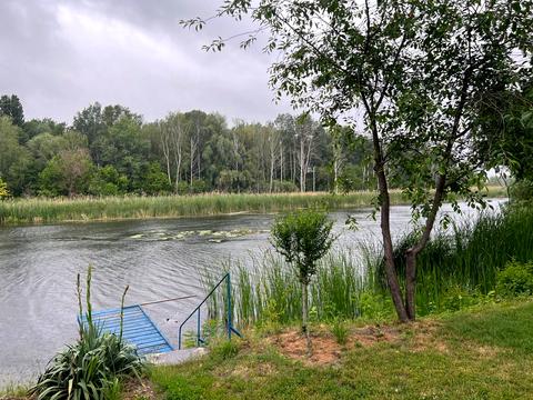 дом по адресу Школьная ул., 54