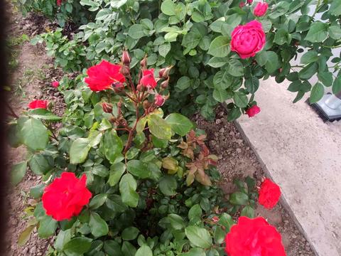 будинок за адресою Приозерна вул.