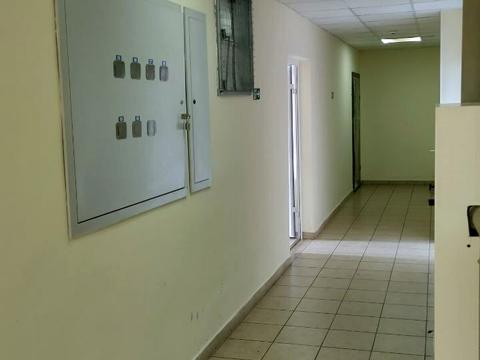 квартира по адресу Балковская ул., 137г