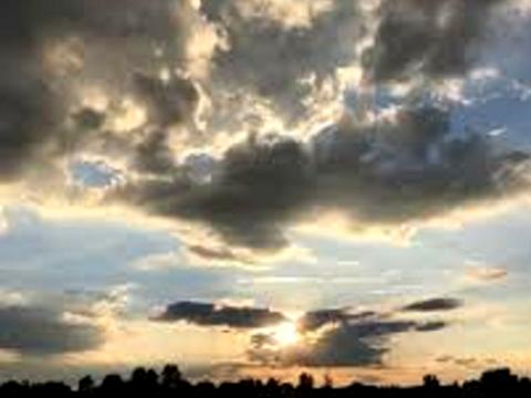 ділянка за адресою с. Новосілки, Шевченка, 1