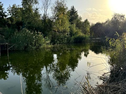 ділянка за адресою провулок Широкій
