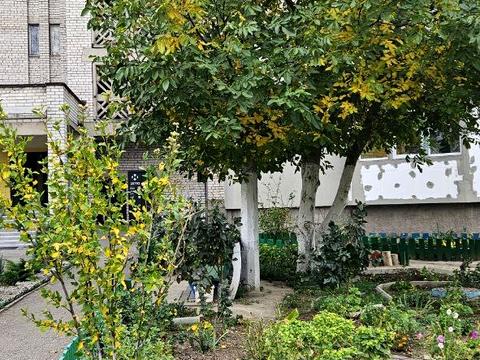 квартира за адресою Сорочинська вул. (Новгородська), 20-А