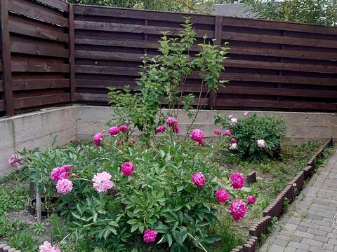 будинок за адресою Білоцерківська вул.