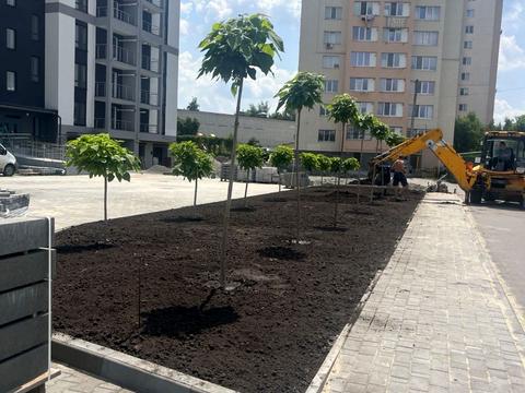 квартира по адресу Транспортная ул., 11/3
