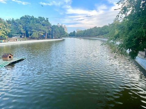 квартира за адресою Шевченка просп., 12/1