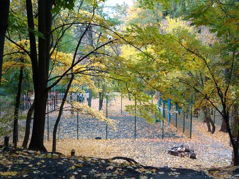 квартира за адресою Голосіївський просп. (40-річчя Жовтня), 114