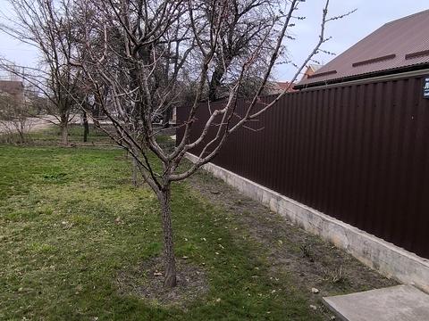 дом по адресу Павла Сницара ул., 57