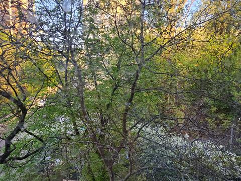 квартира по адресу Киев, Кловский спуск, 18