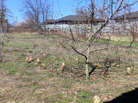 участок по адресу Южная ул., 6