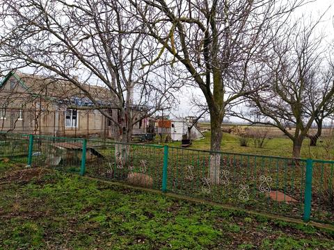 дом по адресу Виноградная