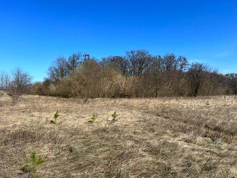 ділянка за адресою вул. Василькова, 2