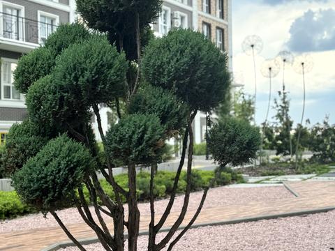 квартира за адресою Михайла Максимовича вул. (Онуфрія Трутенка), 24-В
