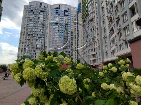 квартира по адресу Каховская ул., 62-А