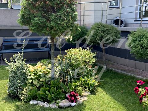 будинок за адресою Степова