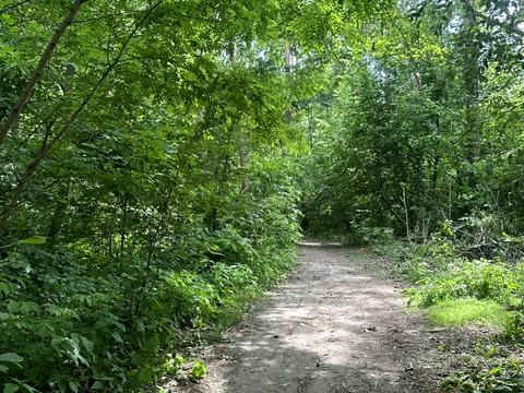 будинок за адресою Прорізна, 10б