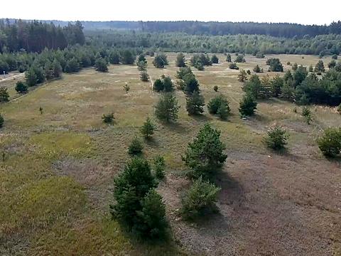 участок по адресу с. Сувид, 