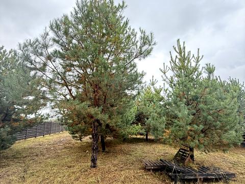 будинок за адресою Весняна, 25