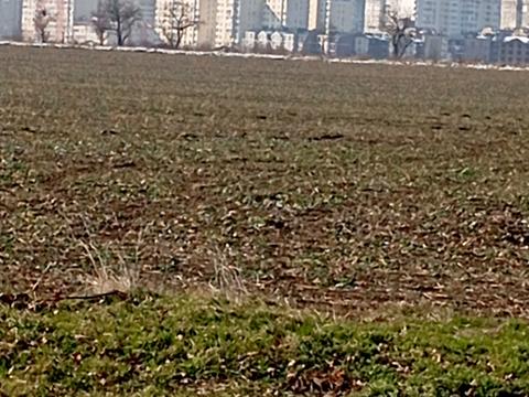 участок по адресу с. Фонтанка, Академика Сахарова ул.