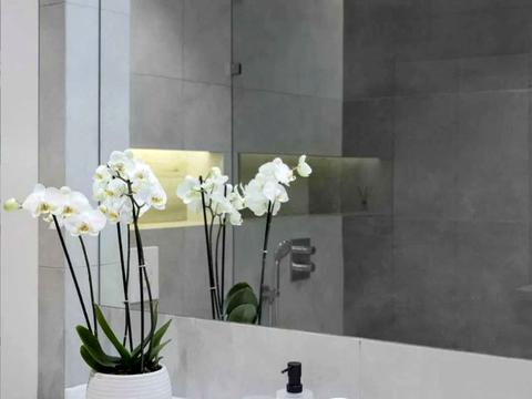 квартира за адресою Велика Арнаутська вул., 23б