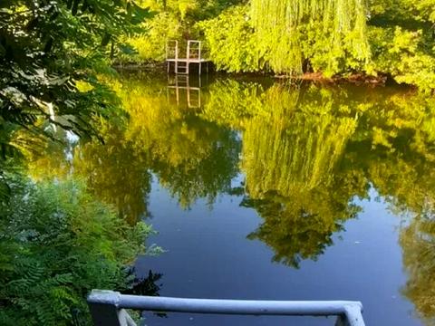 ділянка за адресою 158-а Садова