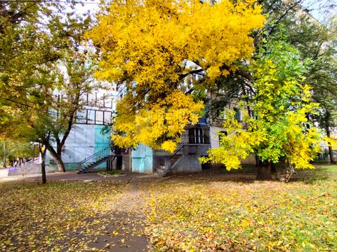 квартира за адресою Ботанічна вул. (Маршака), 6
