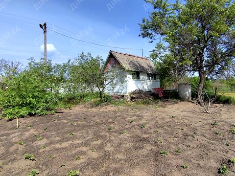 дом по адресу с. Грабиновка, центральна, 1