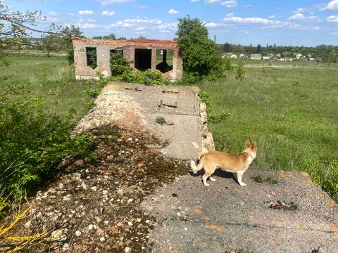 участок по адресу пгт. Брусилов, 