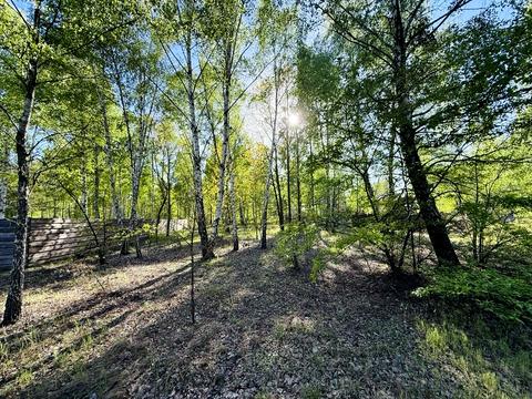 участок по адресу Північна