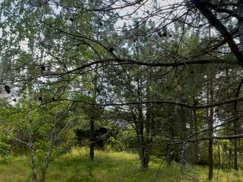 участок по адресу Старокиевская ул.