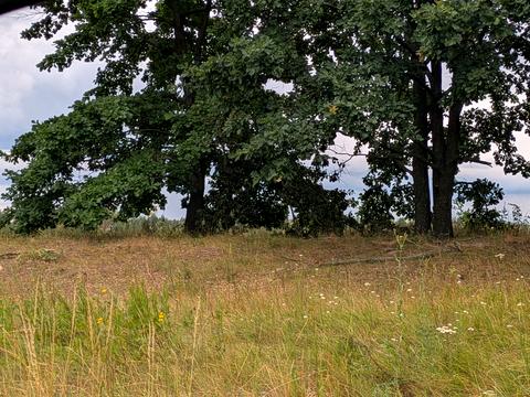 участок по адресу 