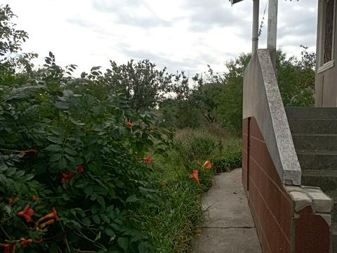 ділянка за адресою 1-я линия, 5