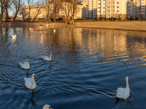 квартира по адресу Приозёрный бульв., 3