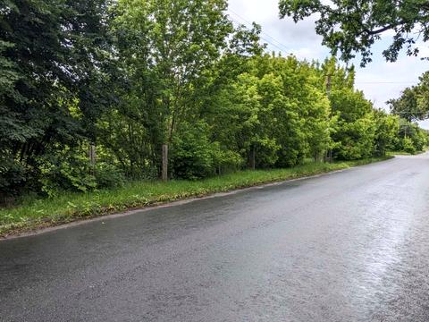 ділянка за адресою с. Дзвінкове, Грушевського, 10