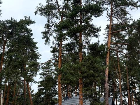 участок по адресу Ясная ул., 26