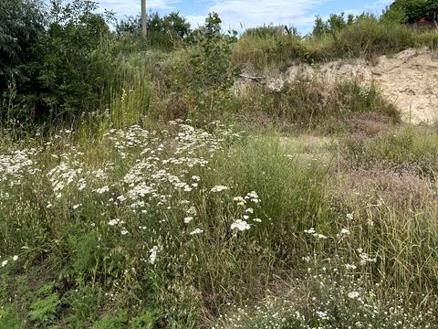 участок по адресу Южная ул.