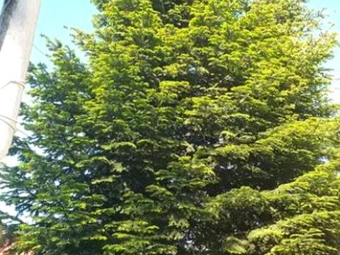 будинок за адресою Торгова вул., 12