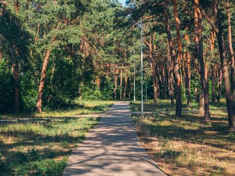 квартира за адресою Вірменська вул., 6