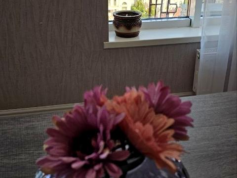 квартира по адресу Французский бульв., 60г