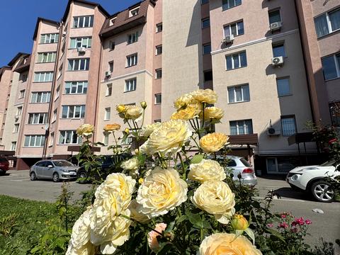 квартира по адресу Боголюбова, 5