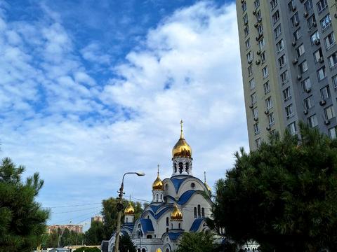 квартира по адресу Академика Заболотного ул., 1-Б