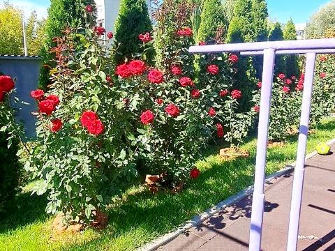 квартира за адресою Феодосійська вул., 32