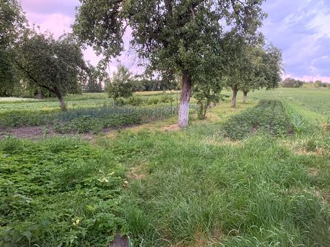 будинок за адресою Бібрка, Галицька вул.