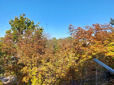 квартира за адресою Іцхака Рабіна вул., 51