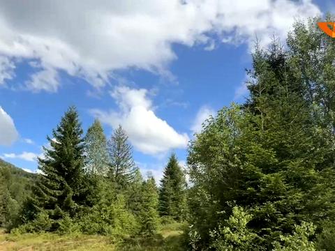 ділянка за адресою с. Стара Гута, 