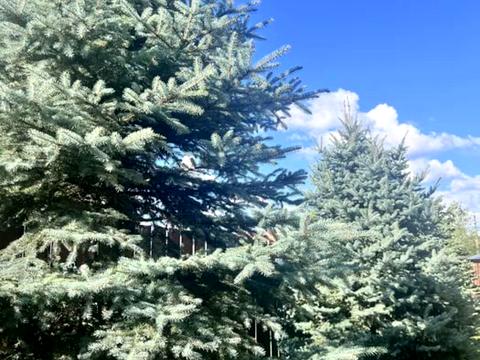 будинок за адресою с. Вишеньки, Європейська, 25